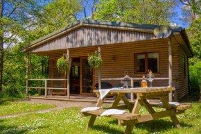 Fiddlers Green Log Cabin Tenby